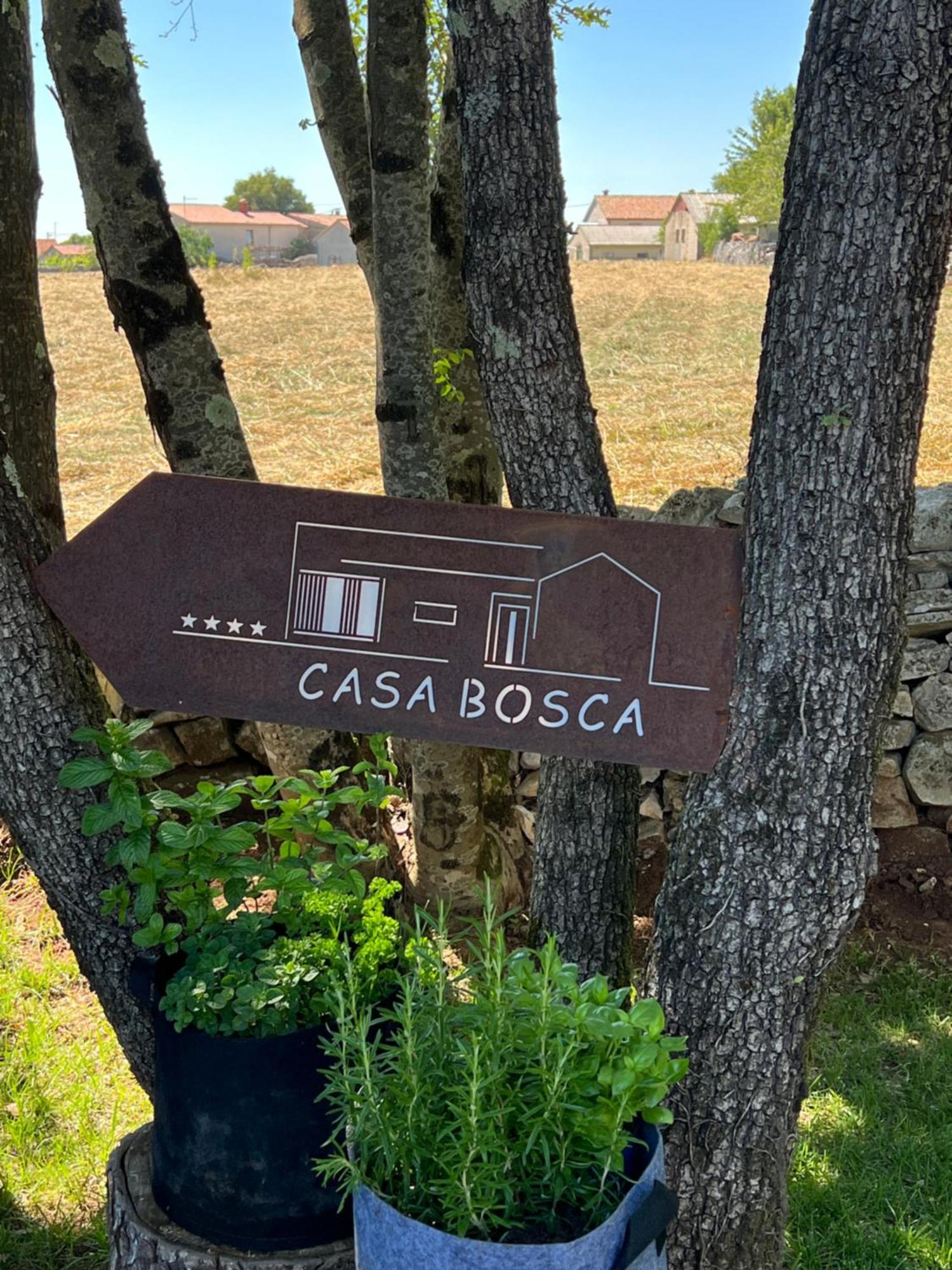 Вилла Casa Bosca With Heated Pool Sveti Petar u Sumi Экстерьер фото
